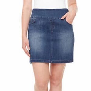 SC and Co Denim Skort